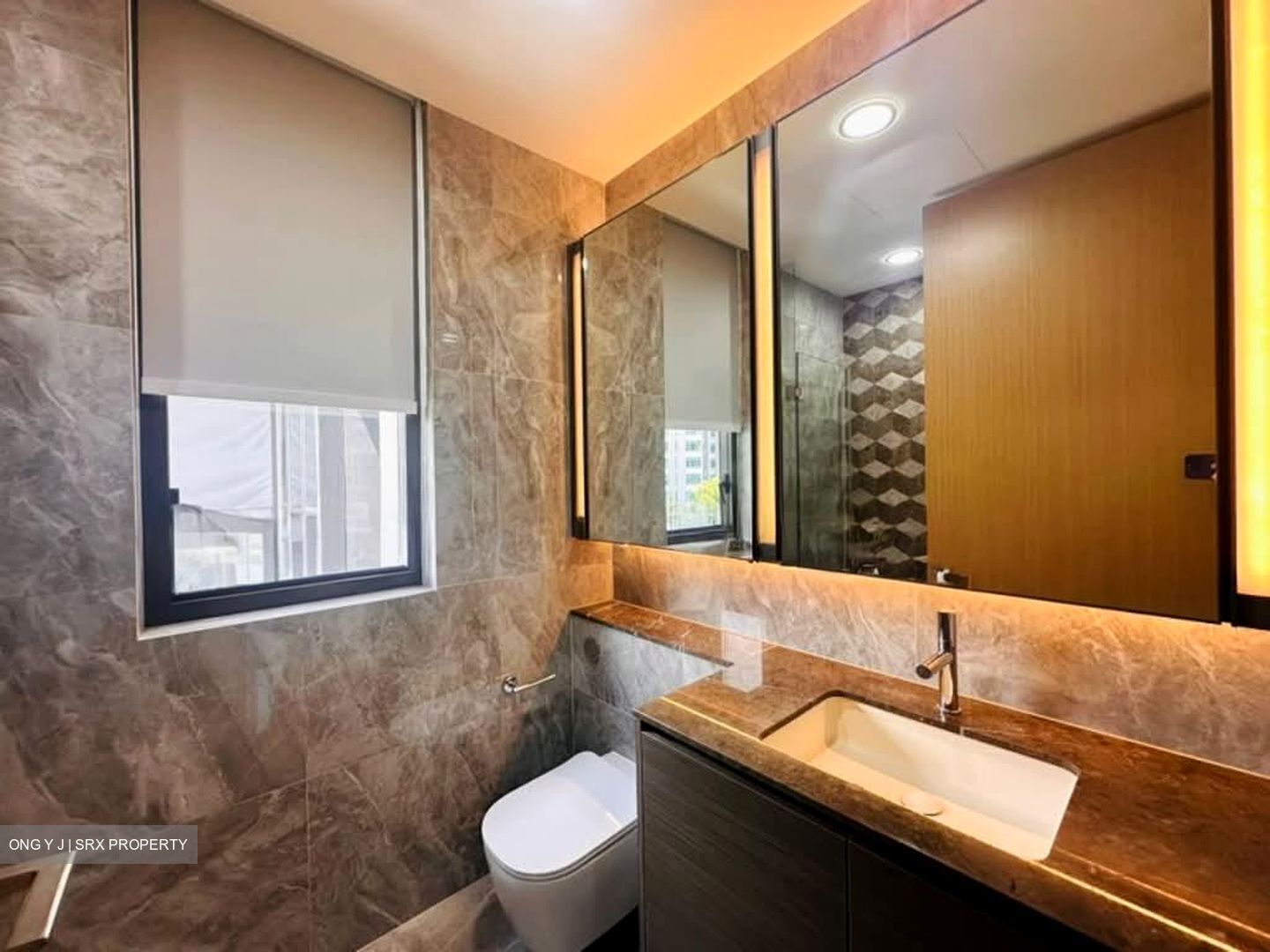 Leedon Green (D10), Condominium #557461041